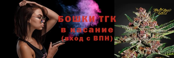 СК Бородино
