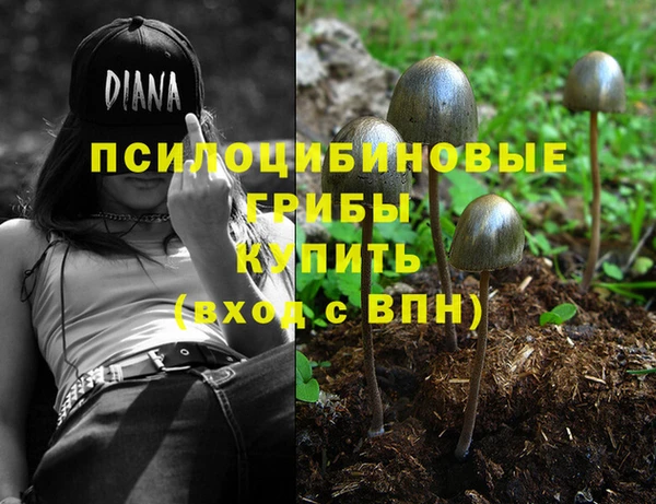 твердый Бугульма
