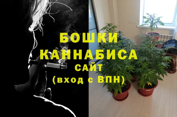 СК Бородино