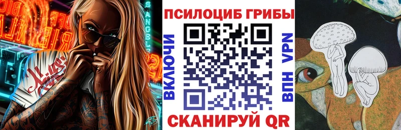 Галлюциногенные грибы MAGIC MUSHROOMS  продажа наркотиков  Мирный 